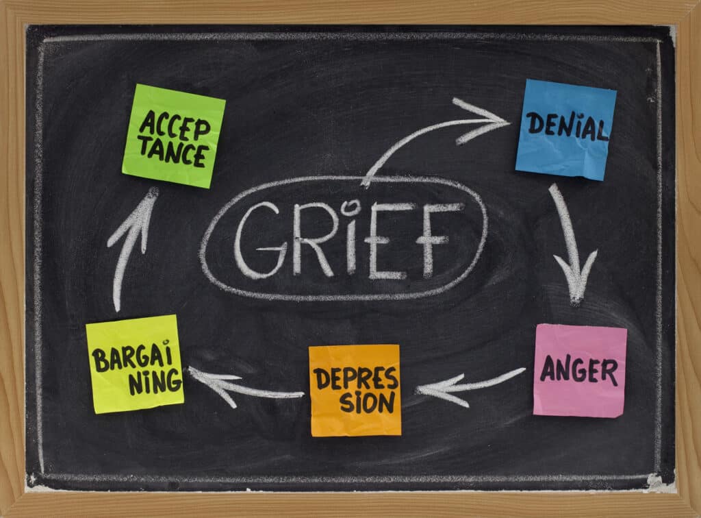 seven stages of grief